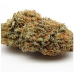 Шишки AK47 (Гидропоника, Бошка) VHQ в Белгороде Шишки AK47 (Гидропоника, Бошка) VHQ в Белгороде